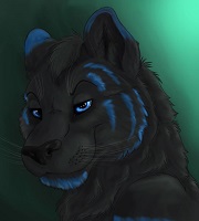 Uživatelský avatar